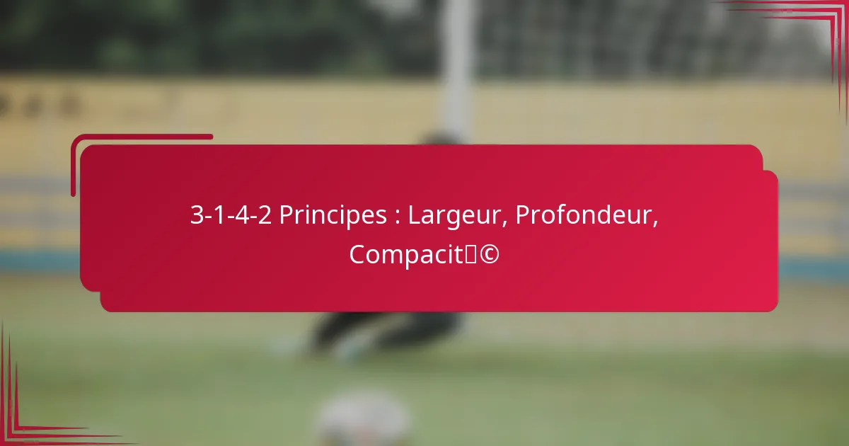 You are currently viewing 3-1-4-2 Principes : Largeur, Profondeur, Compacité